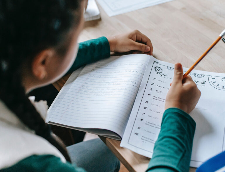 Green Homes Software developer working